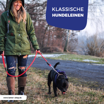 Preview: klassische Hundeleine - M - 145cm - rot mix